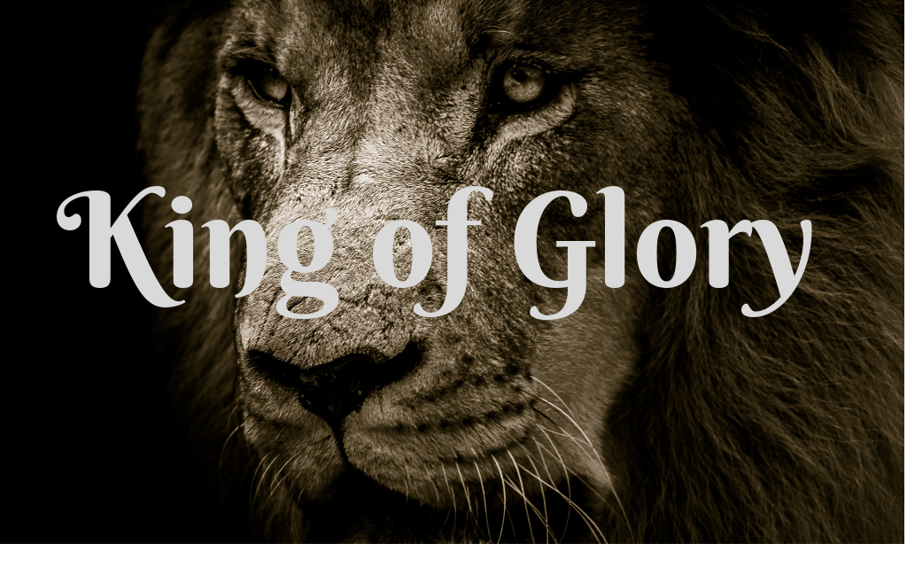King of glory. Lion