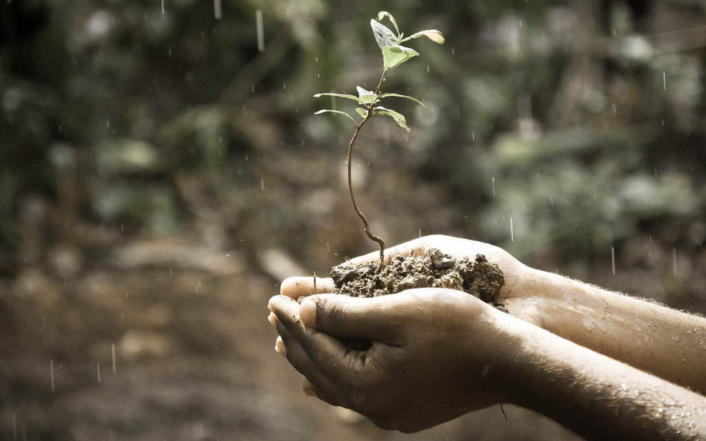 How to Know If You Are Growing Spiritually | Holy Sojourners