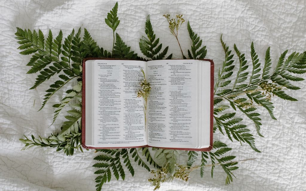A bible opened on leaves