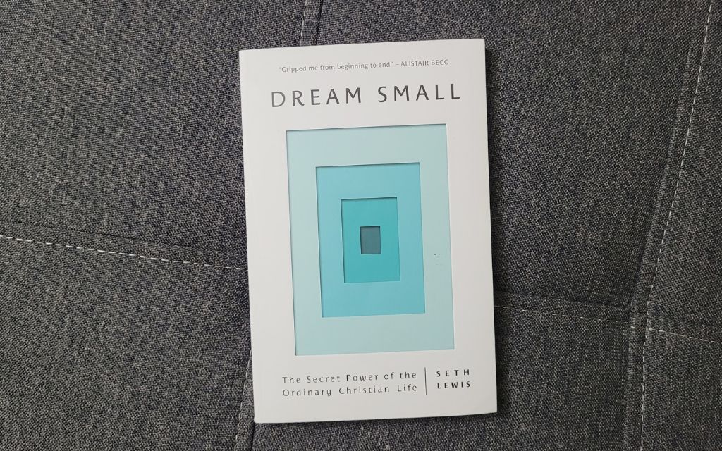 Book cover of Dream small