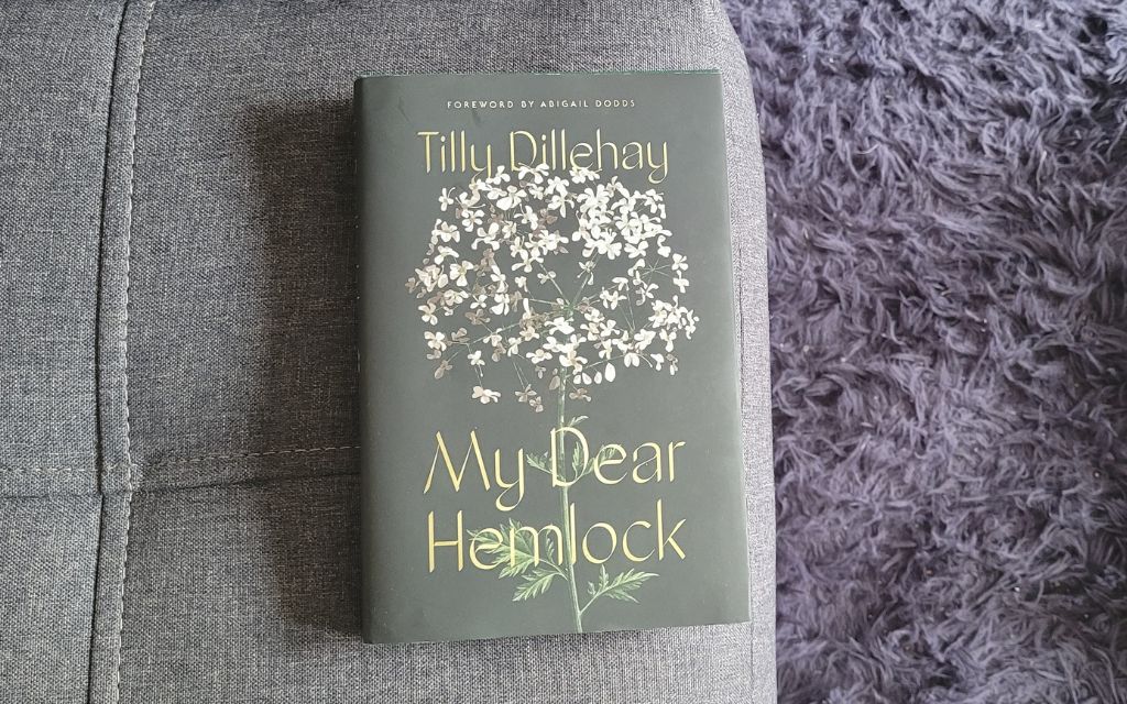 Book cover of My Dear Hemlock